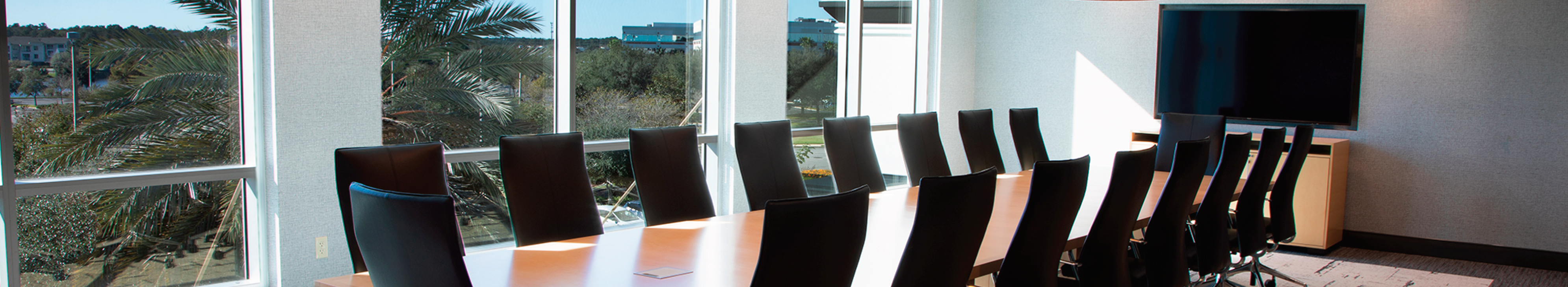 Fortegra Conference Room