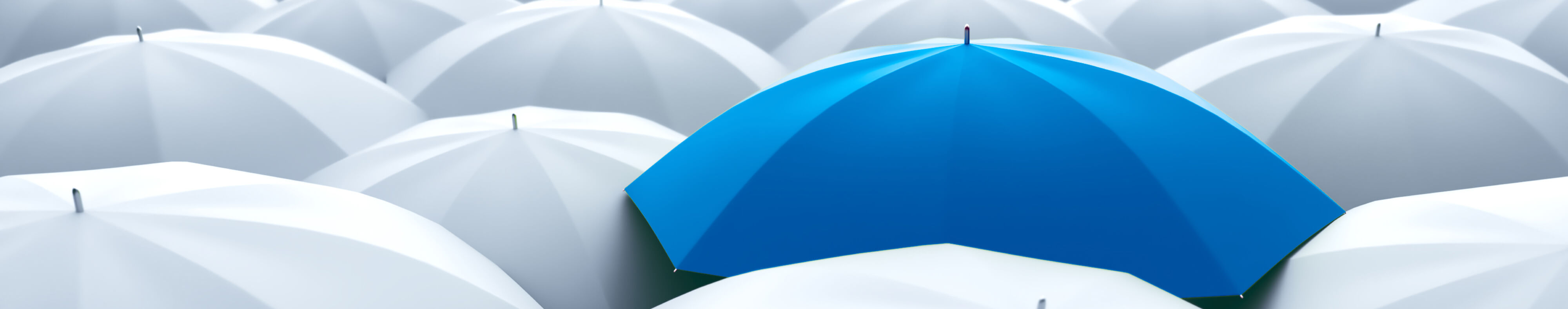 Fortegra Specialty Insurance